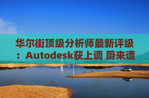 华尔街顶级分析师最新评级：Autodesk获上调 蔚来遭下调