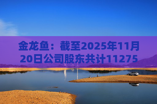 金龙鱼：截至2025年11月20日公司股东共计112754户
