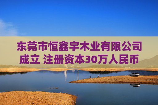 东莞市恒鑫宇木业有限公司成立 注册资本30万人民币