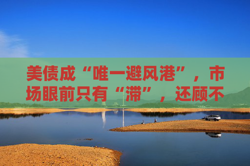 美债成“唯一避风港”，市场眼前只有“滞”，还顾不上“胀”  第1张