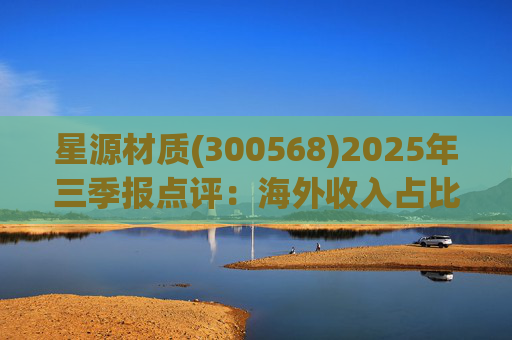 星源材质(300568)2025年三季报点评：海外收入占比提升 盈利水平改善