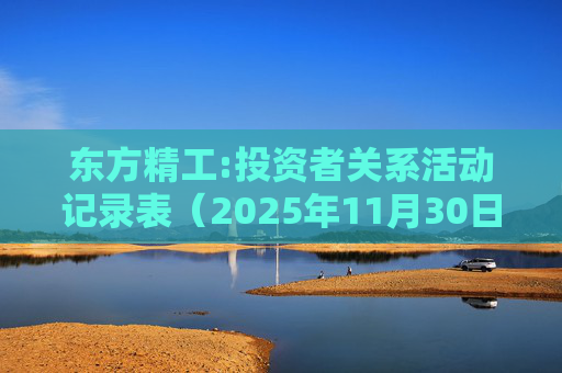 东方精工:投资者关系活动记录表（2025年11月30日）