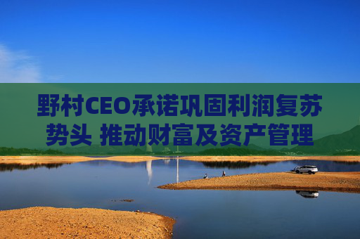 野村CEO承诺巩固利润复苏势头 推动财富及资产管理业务进入高增长阶段