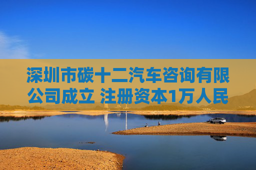 深圳市碳十二汽车咨询有限公司成立 注册资本1万人民币