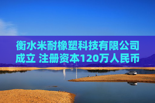 衡水米耐橡塑科技有限公司成立 注册资本120万人民币 第1张 衡水米耐橡塑科技有限公司成立 注册资本120万人民币 第1张