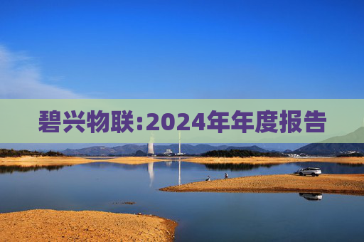 碧兴物联:2024年年度报告  第1张