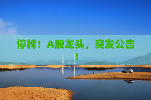 停牌！A股龙头，突发公告！