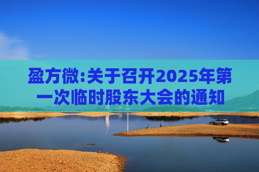 盈方微:关于召开2025年第一次临时股东大会的通知