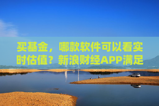 买基金，哪款软件可以看实时估值？新浪财经APP满足你的投资需求  第1张
