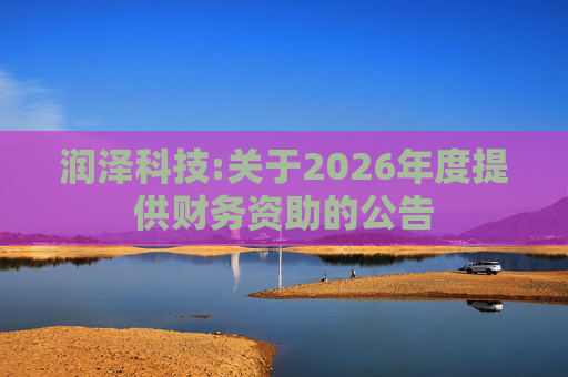 润泽科技:关于2026年度提供财务资助的公告  第1张