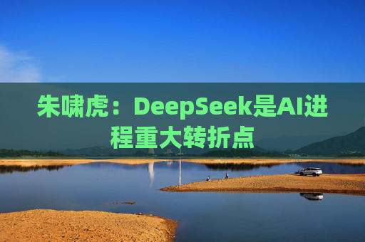 朱啸虎：DeepSeek是AI进程重大转折点