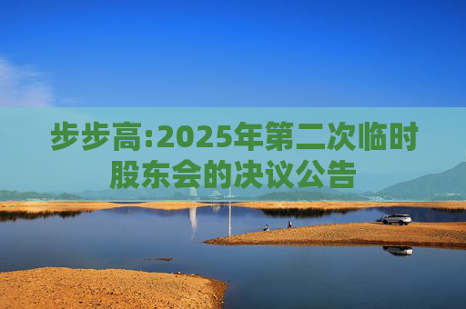 步步高:2025年第二次临时股东会的决议公告