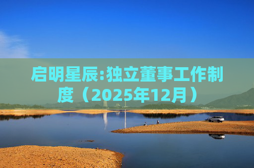 启明星辰:独立董事工作制度（2025年12月）