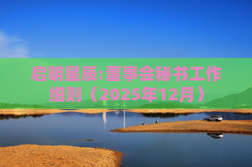启明星辰:董事会秘书工作细则（2025年12月）