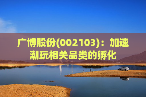 广博股份(002103)：加速潮玩相关品类的孵化