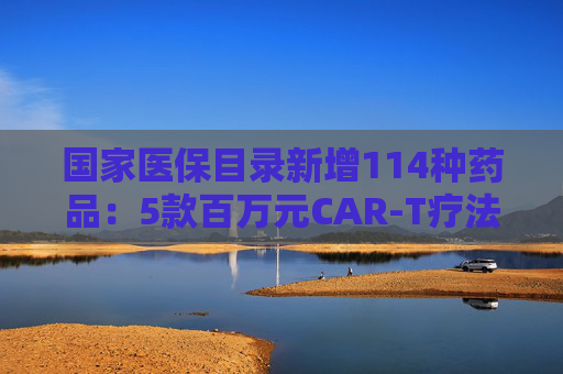 国家医保目录新增114种药品:5款百万元CAR-T疗法纳入商保,企业代表直呼这是“重要里程碑” 第1张 国家医保目录新增114种药品:5款百万元CAR-T疗法纳入商保,企业代表直呼这是“重要里程碑” 第1张