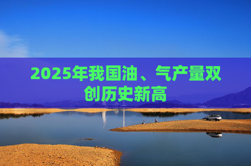 2025年我国油、气产量双创历史新高
