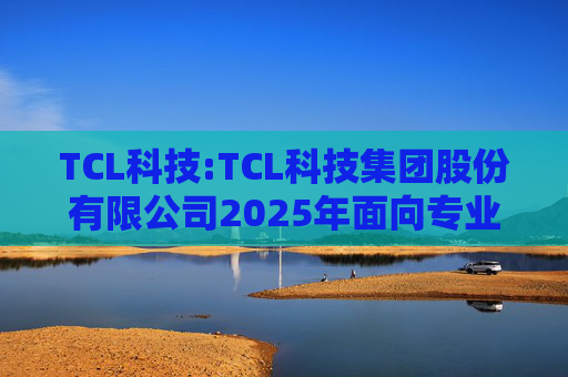 TCL科技:TCL科技集团股份有限公司2025年面向专业投资者公开发行科技创新公司债券（数字经济）（第一期）发行公告
