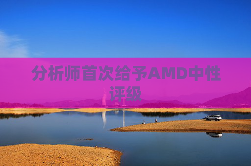 分析师首次给予AMD中性评级