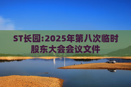 ST长园:2025年第八次临时股东大会会议文件