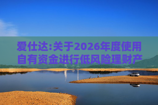 爱仕达:关于2026年度使用自有资金进行低风险理财产品投资的公告