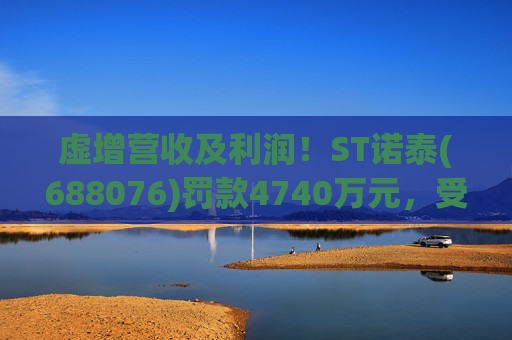 虚增营收及利润！ST诺泰(688076)罚款4740万元，受损投资者可索赔！