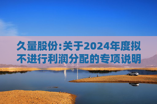 久量股份:关于2024年度拟不进行利润分配的专项说明