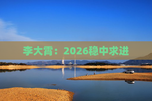 李大霄：2026稳中求进