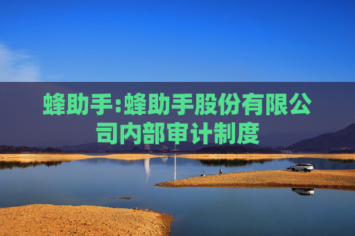 蜂助手:蜂助手股份有限公司内部审计制度