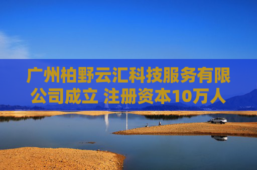 广州柏野云汇科技服务有限公司成立 注册资本10万人民币