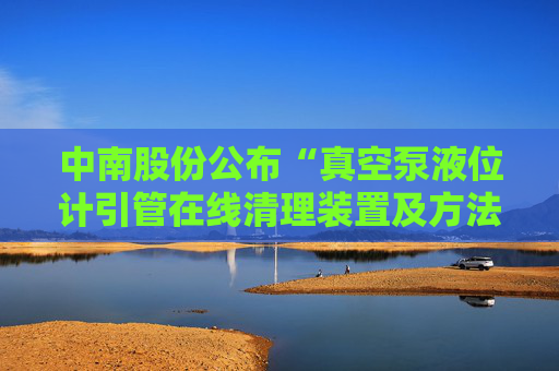 中南股份公布“真空泵液位计引管在线清理装置及方法”专利  第1张