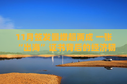 11月签发量增超两成 一张“出海”证书背后的经济韧性