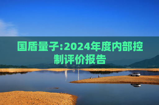 国盾量子:2024年度内部控制评价报告