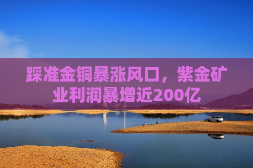 踩准金铜暴涨风口，紫金矿业利润暴增近200亿
