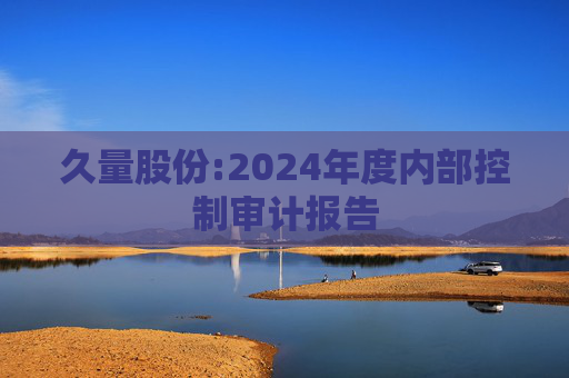 久量股份:2024年度内部控制审计报告