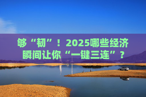 够“韧”！2025哪些经济瞬间让你“一键三连”？