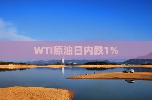 WTI原油日内跌1%