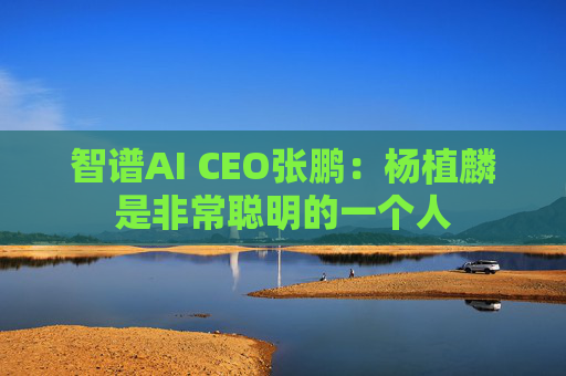 智谱AI CEO张鹏：杨植麟是非常聪明的一个人