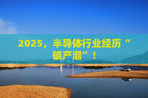 2025，半导体行业经历“破产潮”！
