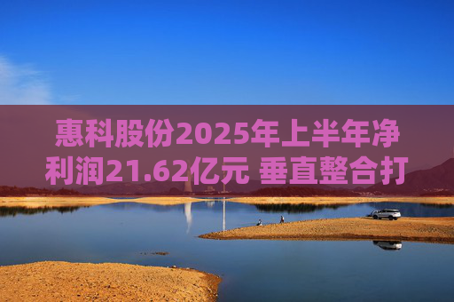 惠科股份2025年上半年净利润21.62亿元 垂直整合打造显示产业全链条优势  第1张