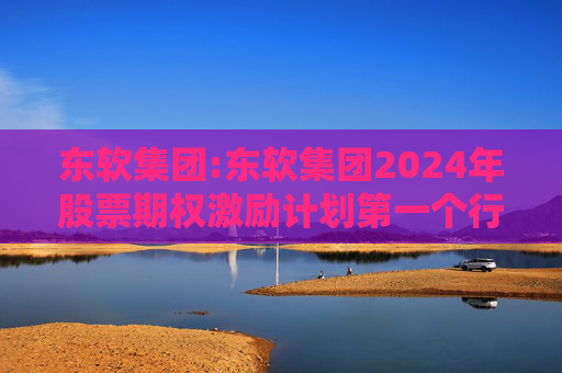 东软集团:东软集团2024年股票期权激励计划第一个行权期2025年第四季度自主行权结果暨股份变动的公告