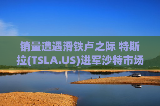 销量遭遇滑铁卢之际 特斯拉(TSLA.US)进军沙特市场