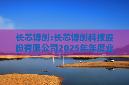 长芯博创:长芯博创科技股份有限公司2025年年度业绩预告