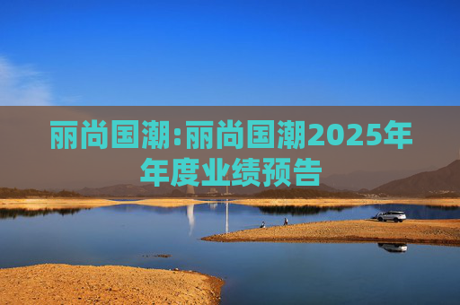 丽尚国潮:丽尚国潮2025年年度业绩预告