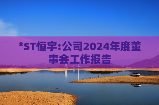 *ST恒宇:公司2024年度董事会工作报告