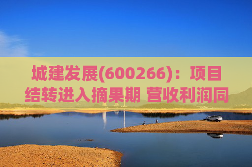 城建发展(600266)：项目结转进入摘果期 营收利润同比大幅提升