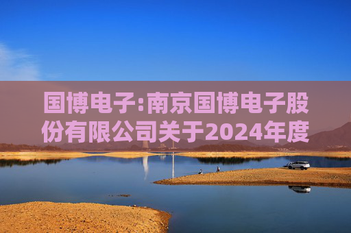 国博电子:南京国博电子股份有限公司关于2024年度募集资金存放与使用情况的专项报告  第1张