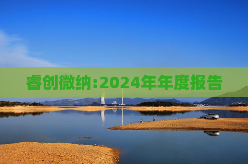 睿创微纳:2024年年度报告