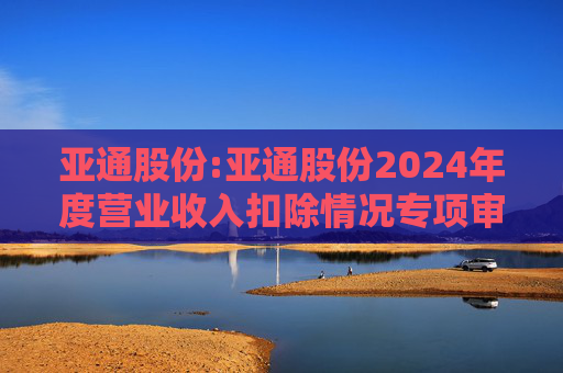 亚通股份:亚通股份2024年度营业收入扣除情况专项审核意见  第1张