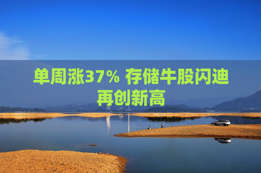 单周涨37% 存储牛股闪迪再创新高